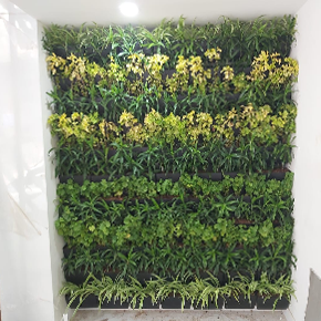 Garden Maintenance in Chennai