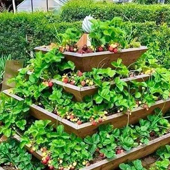 Top Chennai Garden Designers