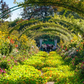 Best Chennai Garden Designers