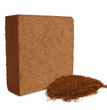 Panchagavya Fertilizers In Chennai, Tamil Nadu